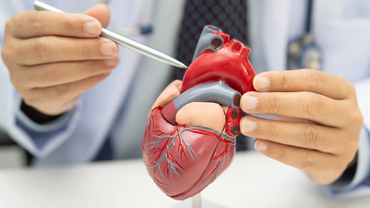 Consulta de cardiologia e avaliação do coração em São Miguel Arcanjo