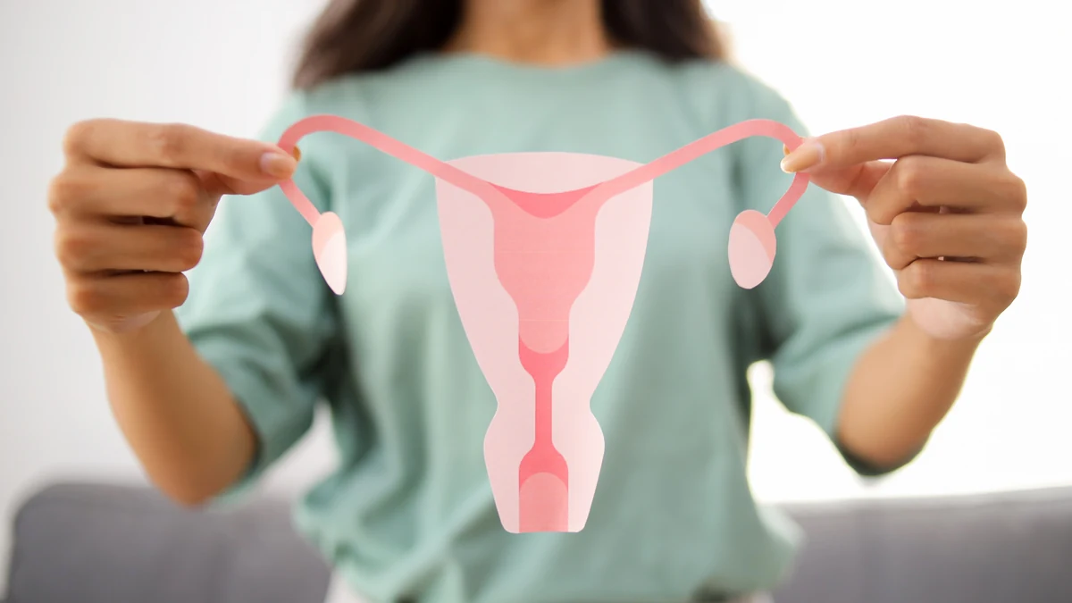 Consulta de ginecologia e obstetrícia em São Miguel Arcanjo